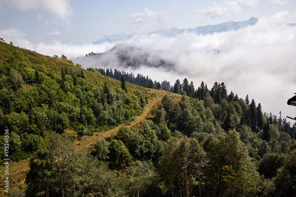 Obraz premium Beautiful mountain forest landscape.