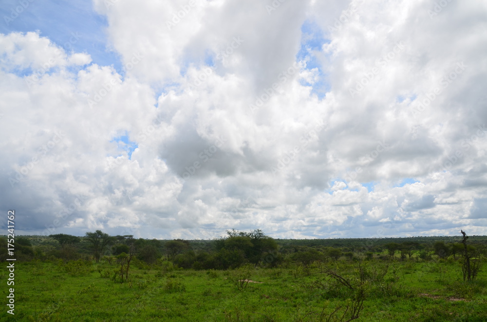 The African landscape. Tanzania