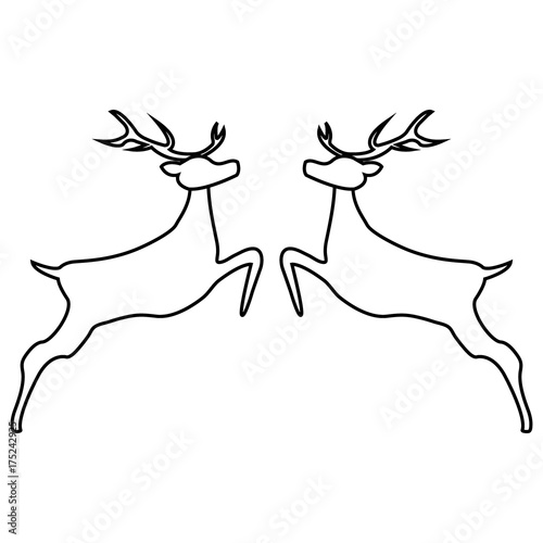 Two reindeer jumping together on a white background