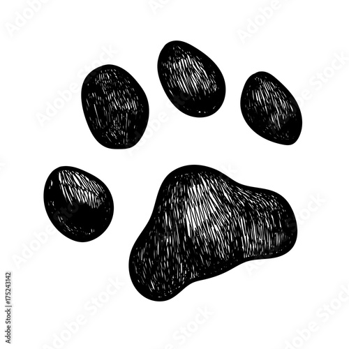 Vector dog paw print photo