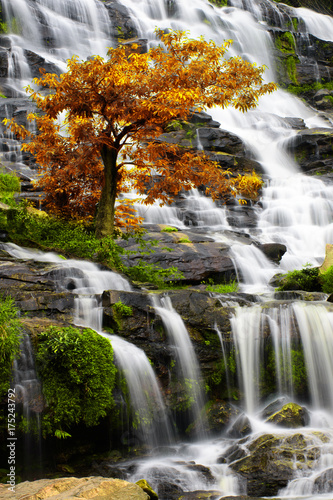 Beautiful waterfall in tropical forest in autumn at Chiang Mai  Thailand.