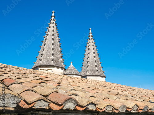 Roof top of Papal palace in Avignon  France