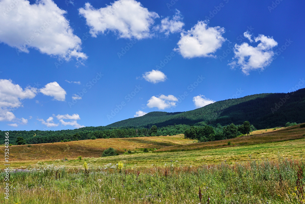  Rhodope Mountains in summer time