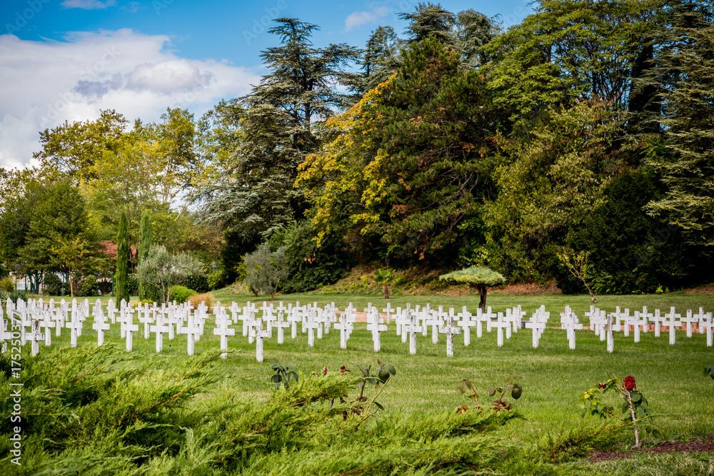 Alignement de croix au cimetière Américain de la nécropole de La Doua à Villeurbanne Alignement de croix au cimetière Américain de la nécropole de La Doua à Villeurbanne
