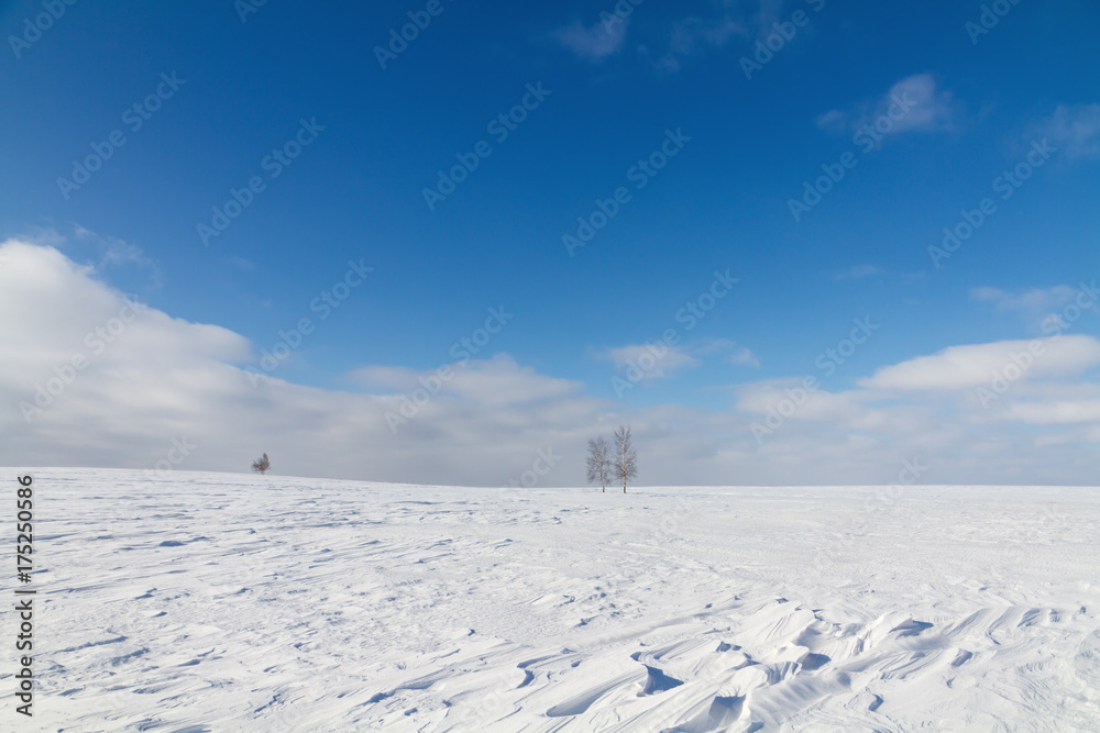 Winter landscape. Winter landscape.