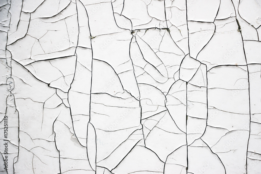 Fototapeta premium Old Cracked White Paint. Texture for background