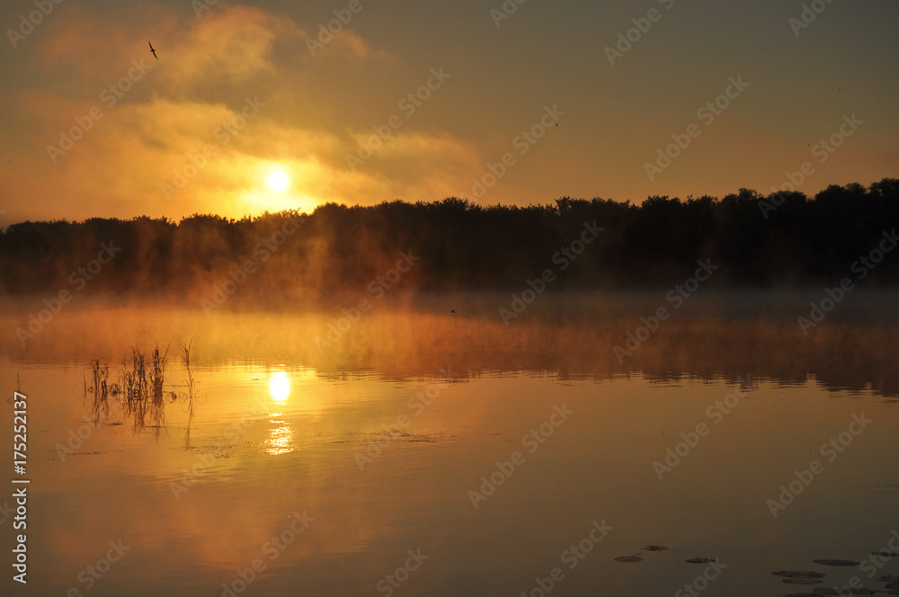 Obraz premium Beautiful dawn on the river. Landscape, nature, decline, beauty