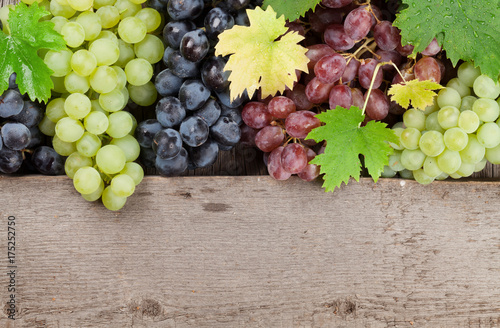 Various colorful grapes on wood
