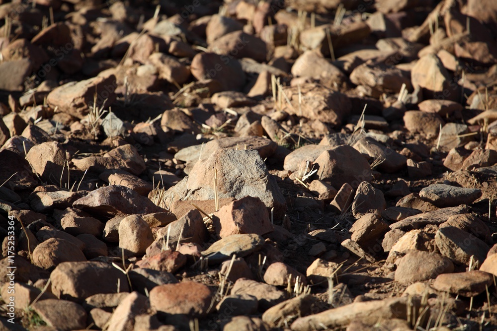 Rocks on a dry field