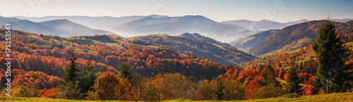 Colorful and bright autumn forest, mountains panorama
