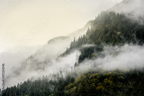 Fototapeta Mglista mgła na górze gór i drzewa wierzchołka dla natury krajobrazu tła