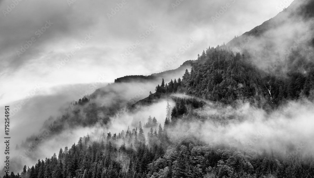Obraz premium mgła na szczycie góry z sosny