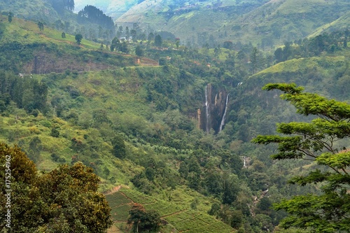 View of the valley with tea plantations around Labookelie in Sri Lanka.