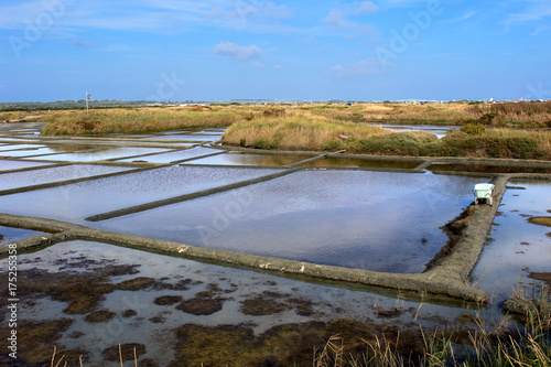 Guérande - Les Marais Salants  photo