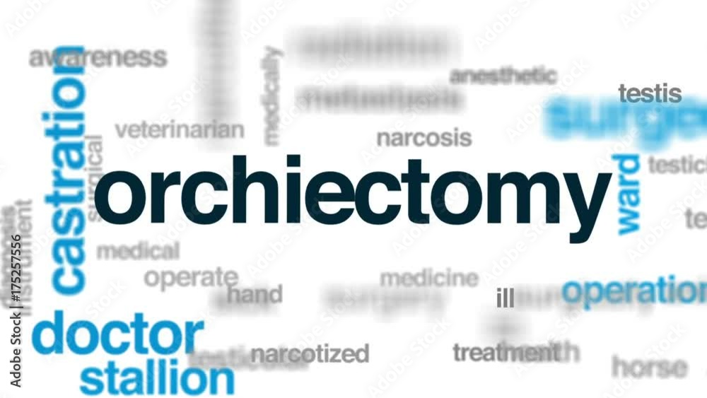 Orchiectomy animated word cloud, text design animation. Orchiectomy animated word cloud, text design animation.