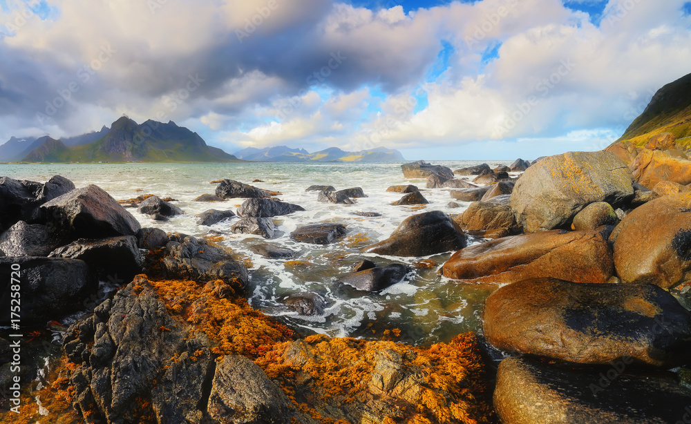 Seascape of Lofoten stone beach