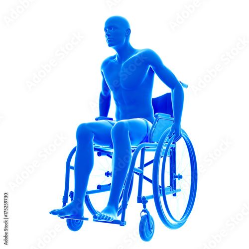 3d rendered medically accurate illustration of man in a wheel chair