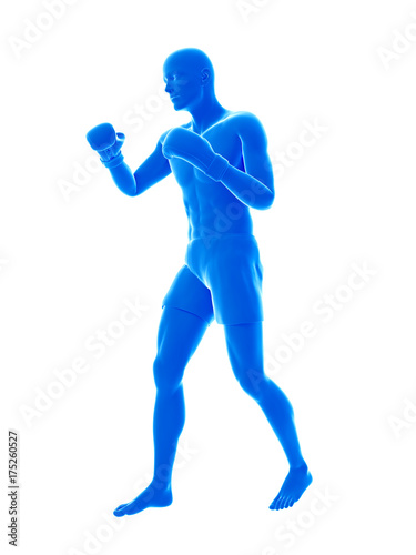 3d rendered medically accurate illustration of a boxer