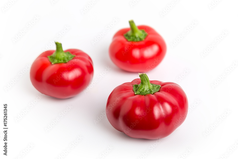 Mini Hungarian red garden pepper var. Right on Red Mini Hungarian red garden pepper var. Right on Red