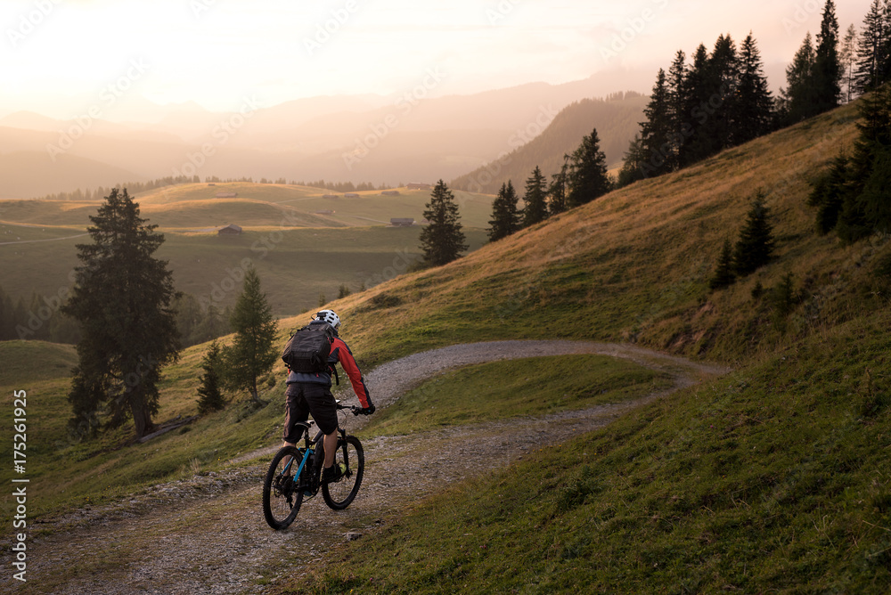 Fototapeta premium Young mountain biker in the Alps