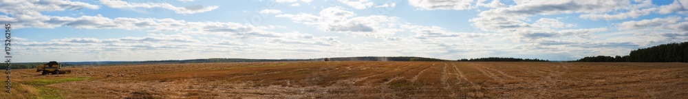 panorama of harvested wheat field in Russia (Moscow region)