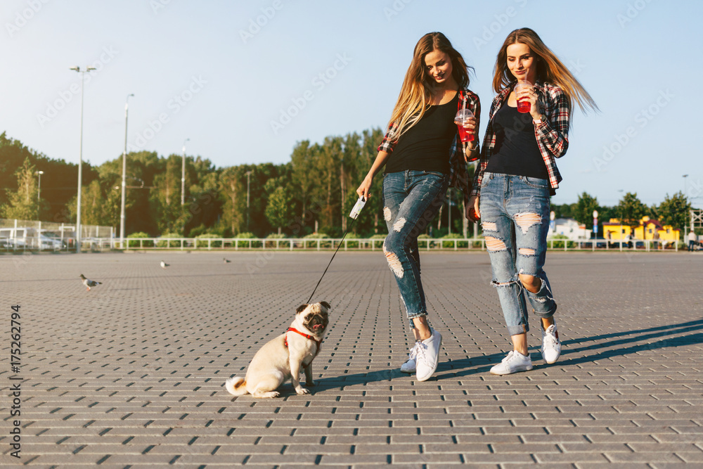 Two beautiful smiling girl sisters twins and dog pug walking in summer park