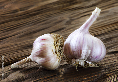 Garlic close-up