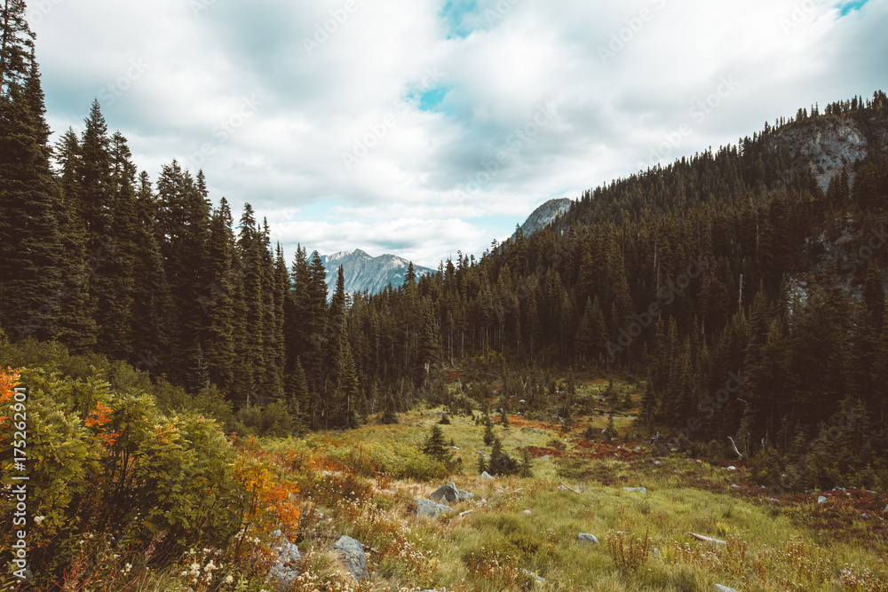 Obraz premium Fall in the mountains