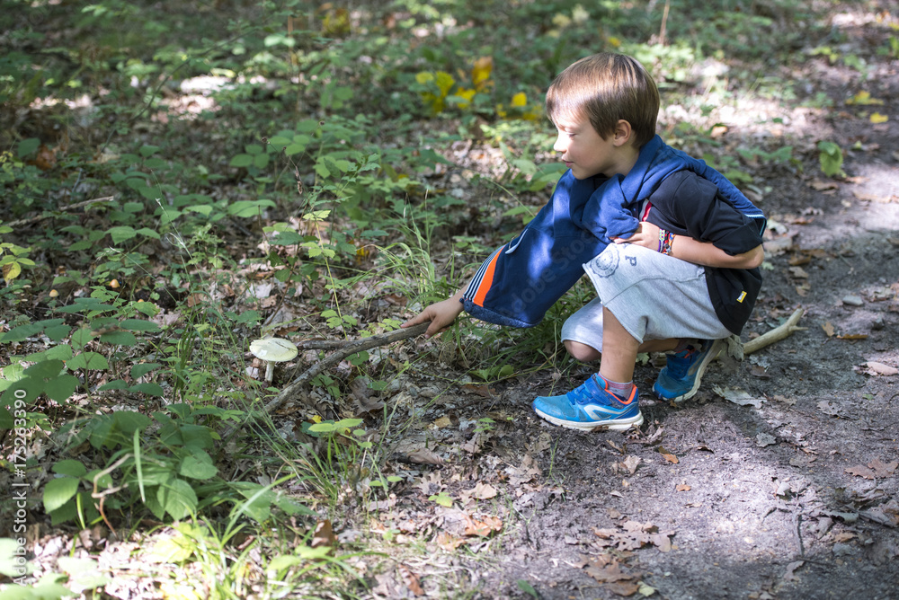 enfant à la découverte des champignons enfant à la découverte des champignons