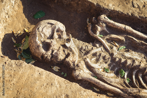 Archaeological excavations. research on human burial, skeleton, skull photo