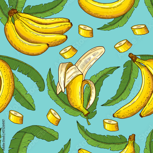 Seamless pattern of bananas. Vector illustrations of tropical food