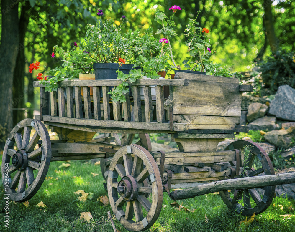 old wooden cart with round wheels