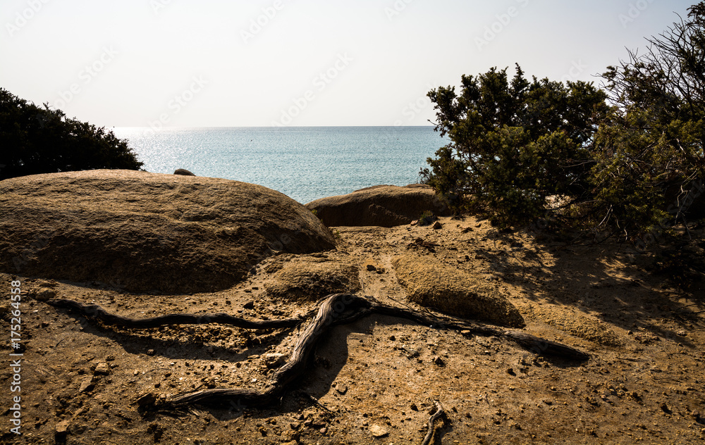 Typical coast Sardinia view
