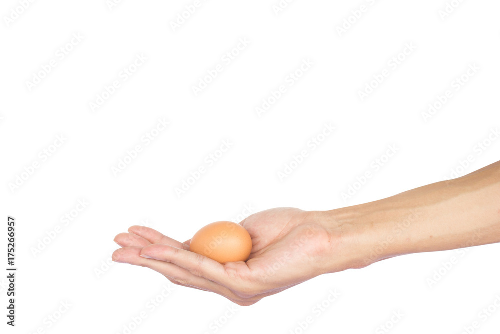 Man hand holding one egg isolated on white background with clipping path. Man hand holding one egg isolated on white background with clipping path.