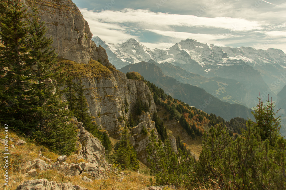 Schynige Platte