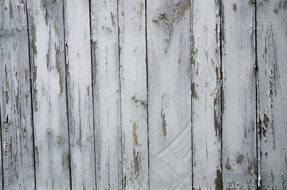 
Background of vertically standing boards with old paint.