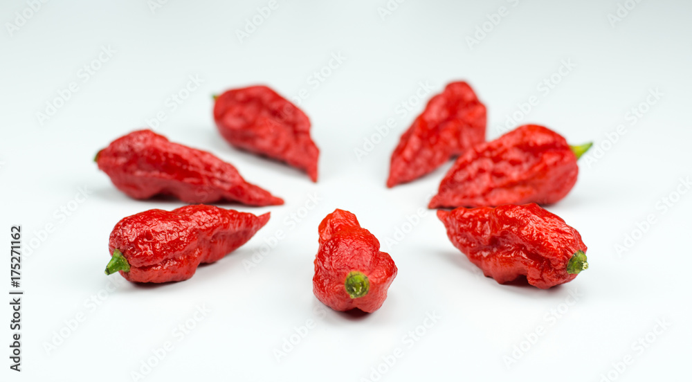 Bhut Jolokia Hot Chili peppers in a circle as a High Key product photo Bhut Jolokia Hot Chili peppers in a circle as a High Key product photo
