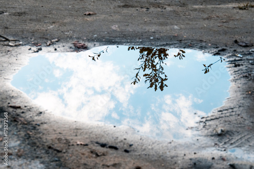 Fotografia water puddle on the ground background