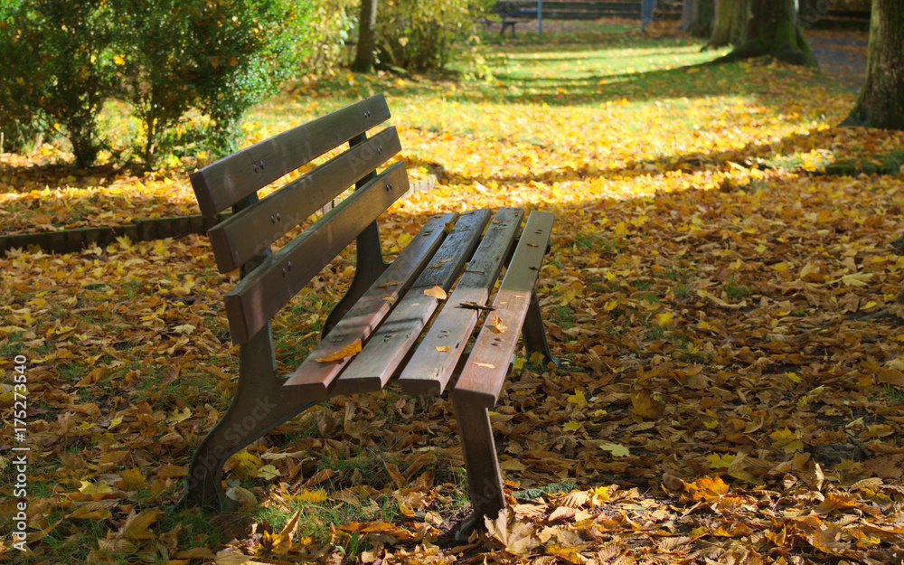 Eine Bank im herbstlichen Park Eine Bank im herbstlichen Park