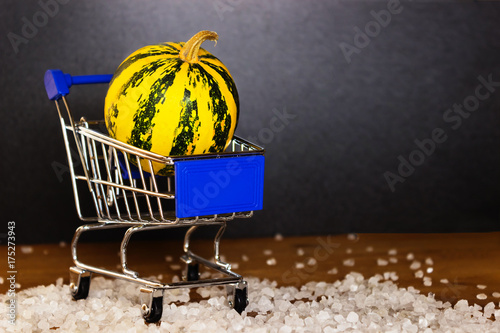 Small decorative yellow green pumpkin lies in a small decorative cart with a blue handle which is coarse salt scattered on a dark background. Copy space photo