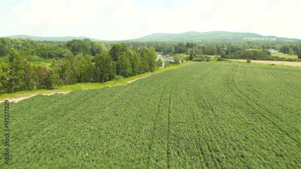 Aerial, crop fields in Aroostook County
