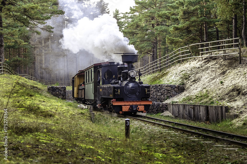 Train on a narrow-gauge railway