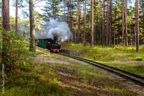 Train on a narrow-gauge railway