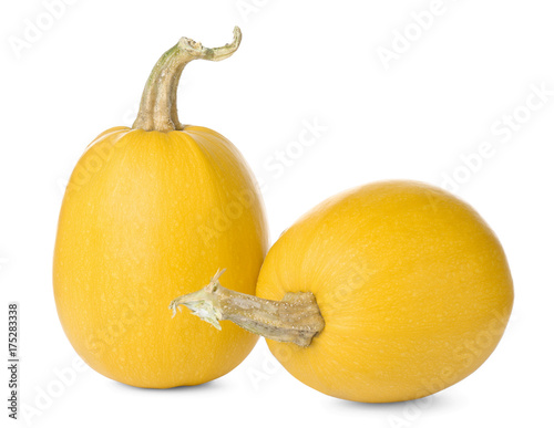 Ripe spaghetti squashes on white background