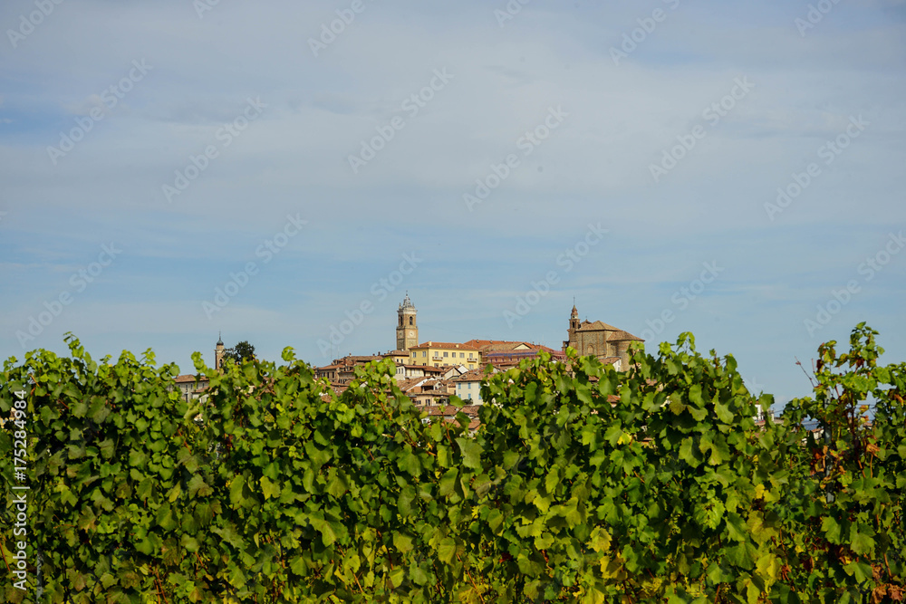 View of La Morra, Piedmont