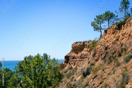 Green trees and bright sunny natural scenic blue sky background. Outdoors freedom recreation activities view © aquar