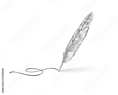 Feather pen icon. Calligraphy sign. photo