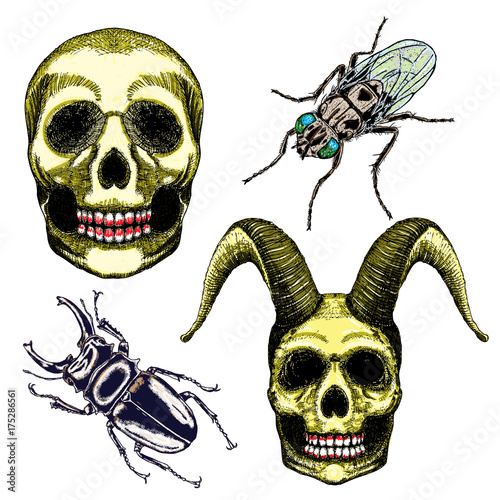 Halloween set and occult magic attributes collection for witchcraft, for cards, decorative elements. Vector.