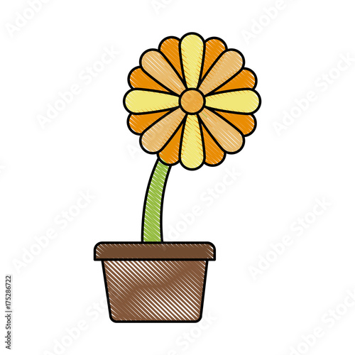 Fototapeta Naklejka Na Ścianę i Meble -  Sunflower in vase icon vector illustration graphic design
