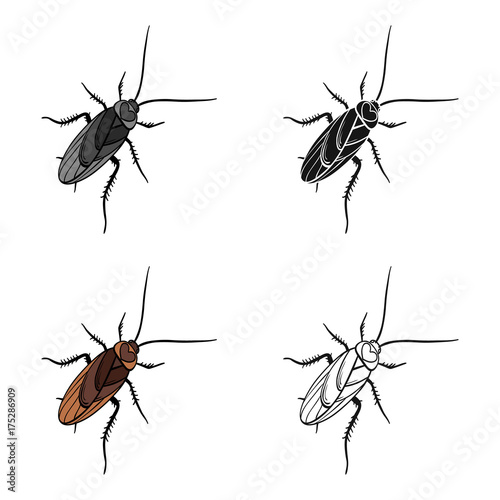 A mustachioed cockroach. Arthropod insect, cockroach single icon in cartoon style vector symbol stock isometric illustration web.